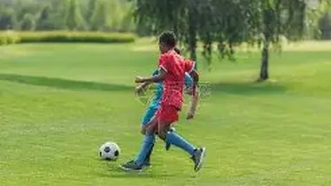 龙女重做发布：W技能增护盾，R技能附恐惧